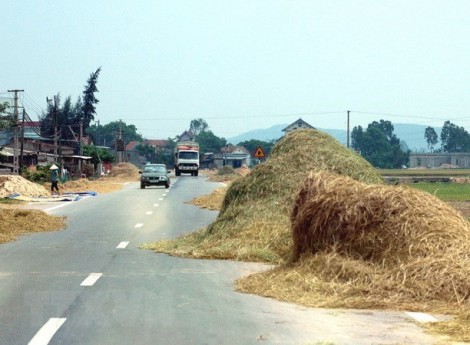Xử lý nghiêm vi phạm dùng lòng đường trái phép để phơi nông sản
