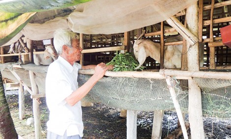 Đáp ứng yêu cầu thực tiễn

và nguyện vọng người dân