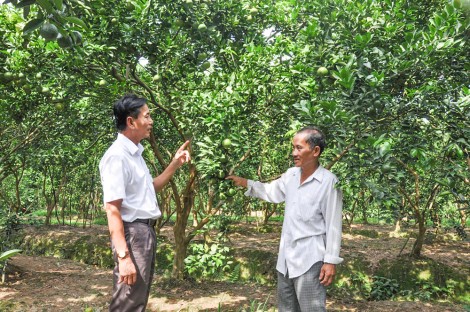 Bước tiến mới ở quận Thốt Nốt