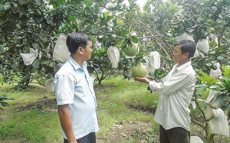 Nhiều mô hình dân vận khéo hiệu quả