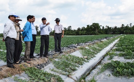 Tăng tốc về đích nông thôn mới