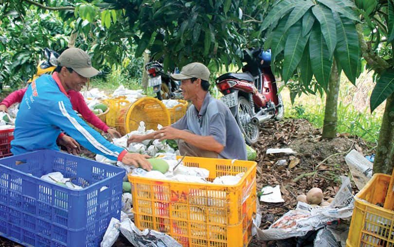 Chuyển biến tích cực, phát triển bền vững