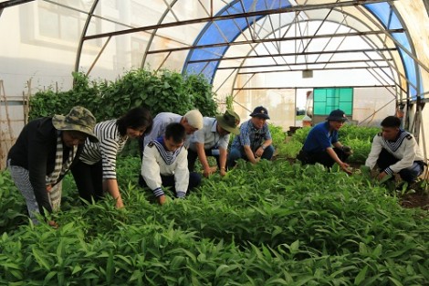 Lan tỏa tình yêu biển, đảo
