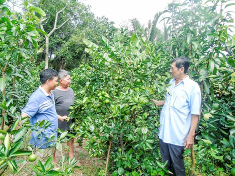 Tích cực chăm lo đời sống nhân dân