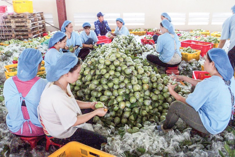 Phải thay đổi từ nhận thức đến hành động