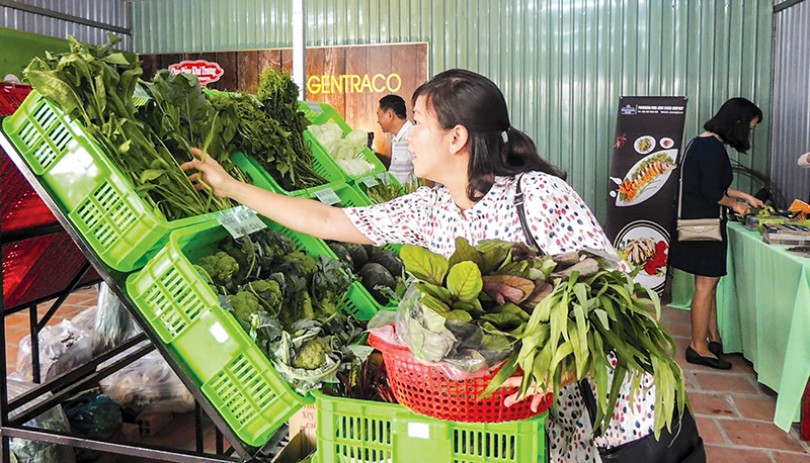 Đừng bỏ lỡ cơ hội phát triển thị trường nội địa