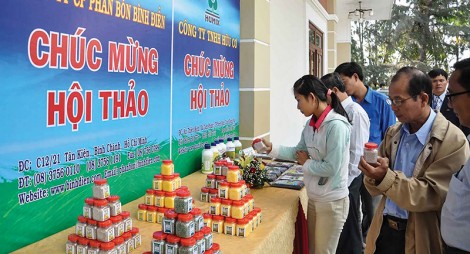 “Bố con cá gai” - Bao la tình cha