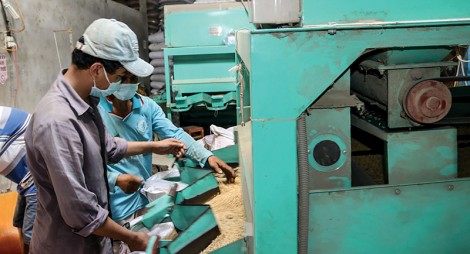 TP Cần Thơ có 11 hợp tác xã mới thành lập