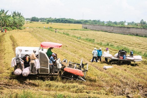 Nỗ lực duy trì tăng trưởng kinh tế ở mức cao