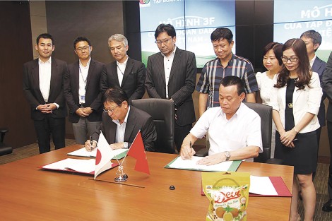 Nhà đầu tư nên chọn hướng đi nào?