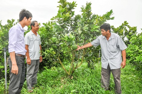 Tạo chuyển biến mới trong công tác xây dựng, chỉnh đốn Đảng