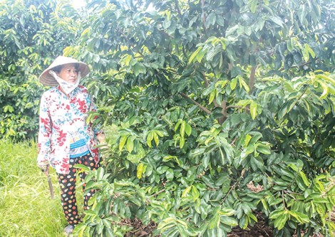 Chuyển dịch cơ cấu nông nghiệp 

nâng cao thu nhập nông dân