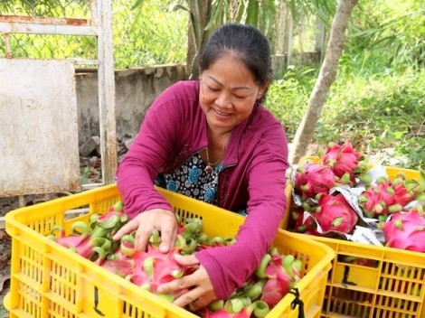 Bảo đảm quyền có mức sống thích đáng ở nước ta hiện nay