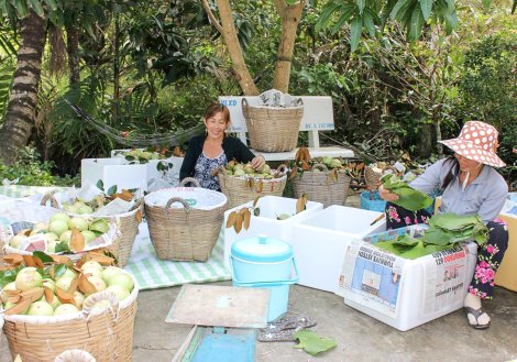 Đẩy mạnh các giải pháp đảm bảo an toàn thực phẩm
