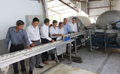 Long An phê duyệt 9 đề án khuyến công địa phương