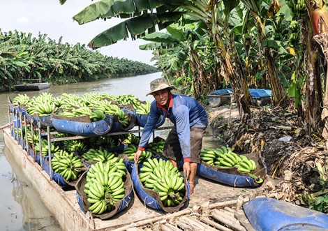 Thới Hưng quyết tâm

về đích đúng hẹn