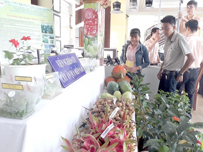Đưa khoa học và công nghệ vào tái cấu trúc sản xuất nông nghiệp ĐBSCL