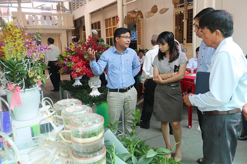 TP Cần Thơ và TP Hồ Chí Minh liên kết,

hợp tác nâng giá trị sản phẩm hoa lan
