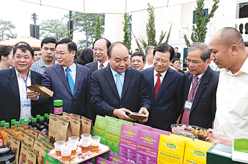 Phấn đấu đưa nông nghiệp Việt Nam vào tốp 15 nước phát triển nhất thế giới trong 10 năm tới
