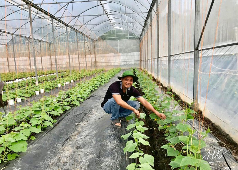 Kết nối với các địa phương và doanh nghiệp phát triển nông nghiệp công nghệ cao