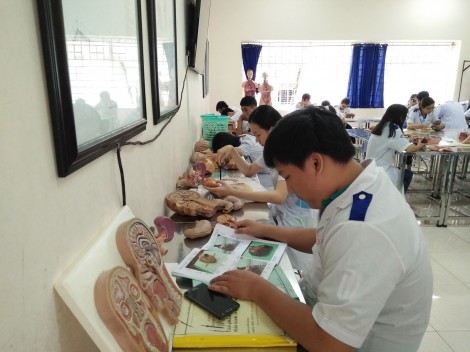 Trường Đại học Y Dược Cần Thơ:

Điểm chuẩn ngành Y đa khoa: 22,75 điểm