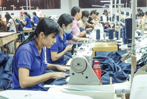Doanh nghiệp Việt cần nắm bắt cơ hội từ CPTPP