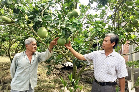 Nỗ lực chăm lo đời sống nhân dân