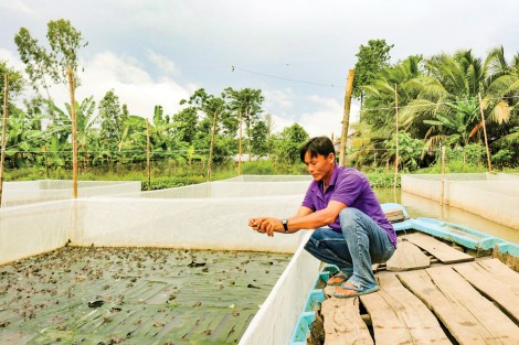 Tăng giá trị kinh tế trên cùng diện tích đất