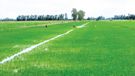 An toàn sản xuất  khi nước lũ về