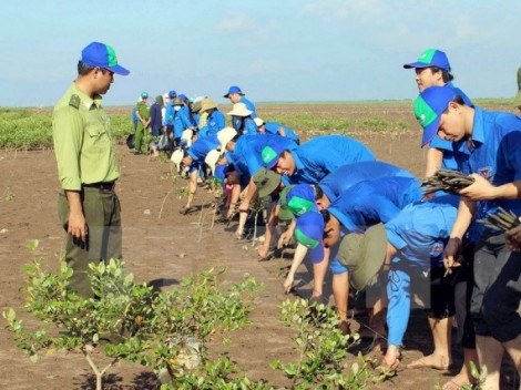 Phân bổ vốn ứng phó với biến đổi khí hậu và tăng trưởng xanh