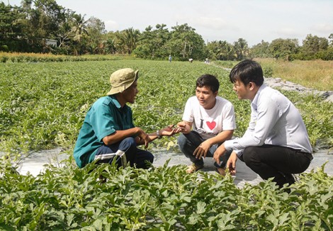 Đoàn kết xây dựng quê hương