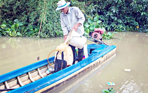 Nguy cơ ô nhiễm môi trường từ bao bì thuốc bảo vệ thực vật