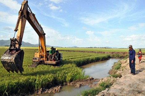 Đồng bằng sông Cửu Long: Dồn sức ứng phó với lũ