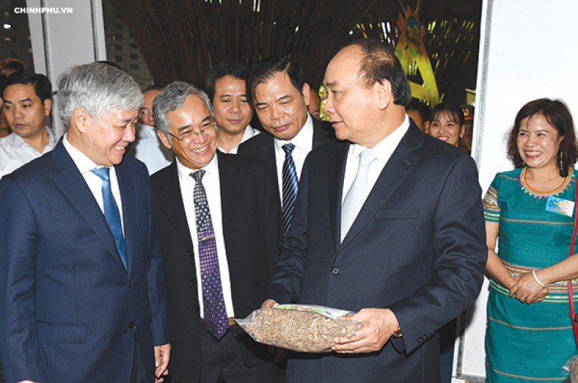 Thủ tướng Nguyễn Xuân Phúc: Bảo hộ giá trị thương hiệu sâm Ngọc Linh như thương hiệu quốc gia Việt Nam