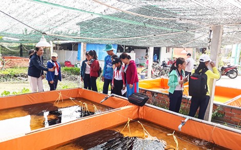 Tăng cường dạy học trải nghiệm sáng tạo