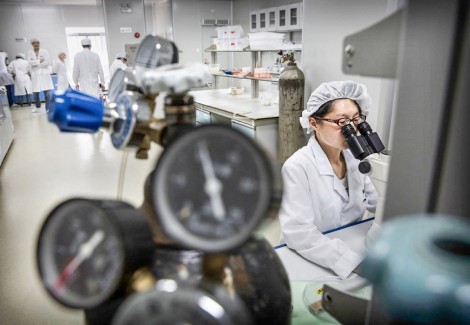 Nạn gian lận nghiên cứu khoa học “nở rộ” ở Trung Quốc