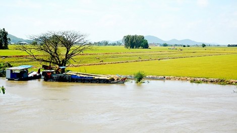 Bấp bênh lúa thu đông mùa lũ