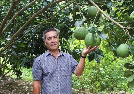 Phát huy hiệu quả nguồn vốn vay