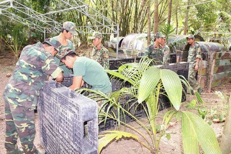 Tích cực chuẩn bị diễn tập khu vực phòng thủ thành phố