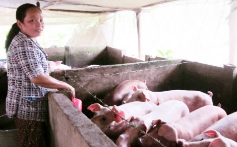 Thống kê đúng, đủ hộ nghèo, cận nghèo cần trợ giúp