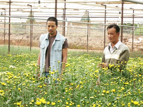 Con đường hoàn lương trong “Trang trại hoa hồng”