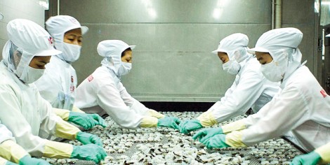 VN-Index lấy lại mốc 1.000 điểm 
sau hơn 3 tháng để tuột mất