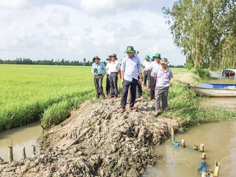 Chủ động, thích nghi khai thác lợi thế