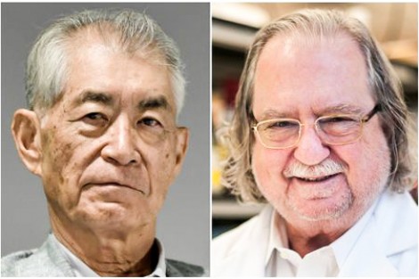 Nobel Y sinh vinh danh nghiên cứu điều trị ung thư bằng việc ức chế miễn dịch âm tính