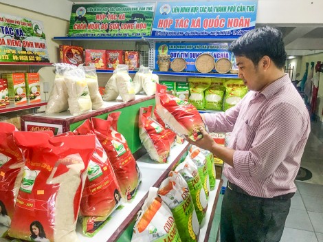 Doanh nghiệp Việt tăng sức cạnh tranh để hội nhập