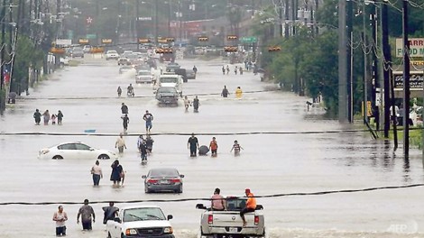 Nhiều thành phố lớn trên thế giới trước nguy cơ bị lũ lụt tàn phá