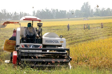 Cơ cấu lại ngành nông nghiệp

gắn với xây dựng nông thôn mới