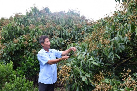 Động lực xây dựng nông thôn mới
