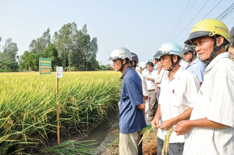 Giảm ô nhiễm môi trường trong sản xuất nông nghiệp