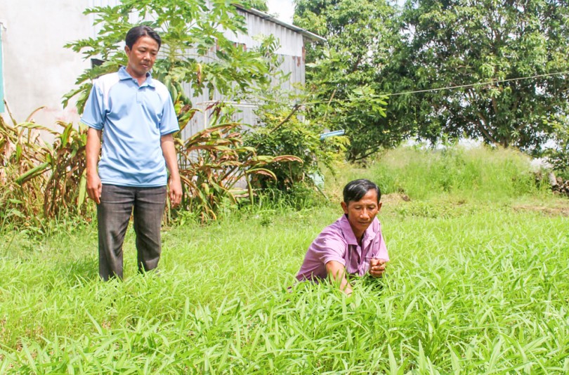 Tăng thu nhập nhờ hợp tác sản xuất